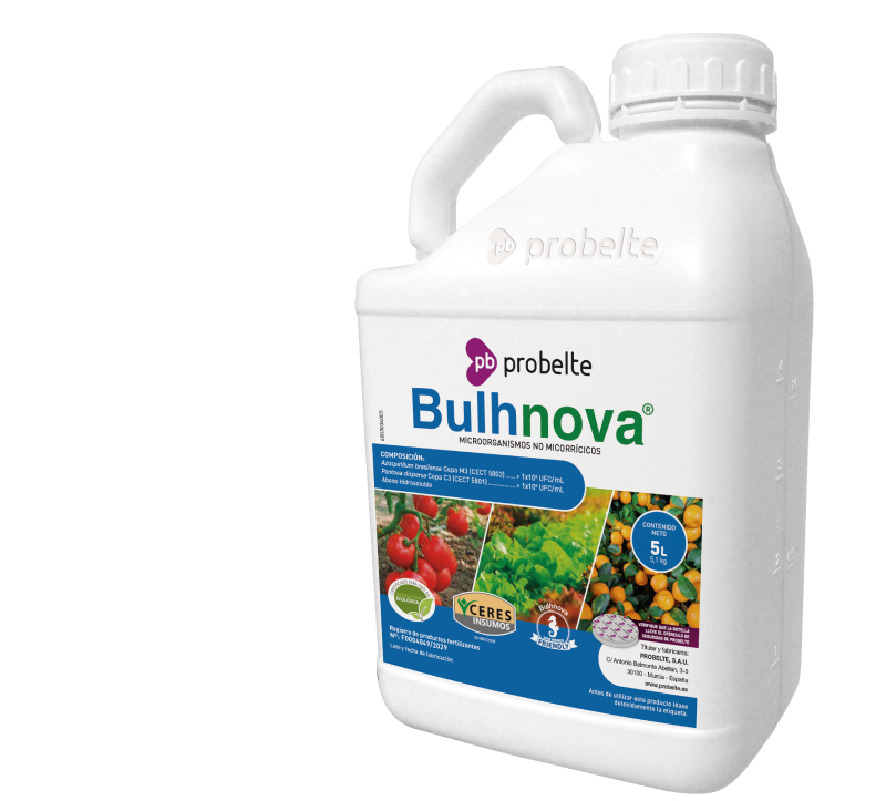 BULHNOVA